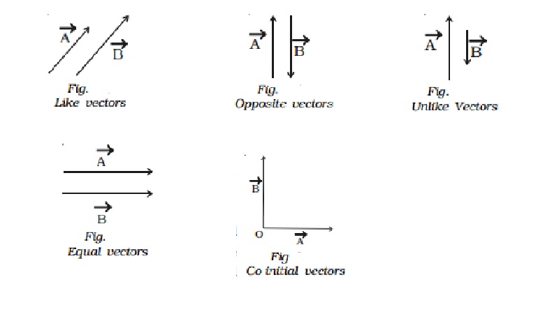 type vector a in calcpad